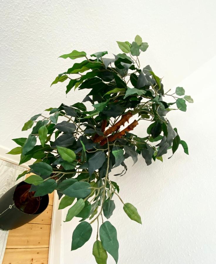 Apartment In Most Pop-Ular Area Norrebro 哥本哈根 外观 照片