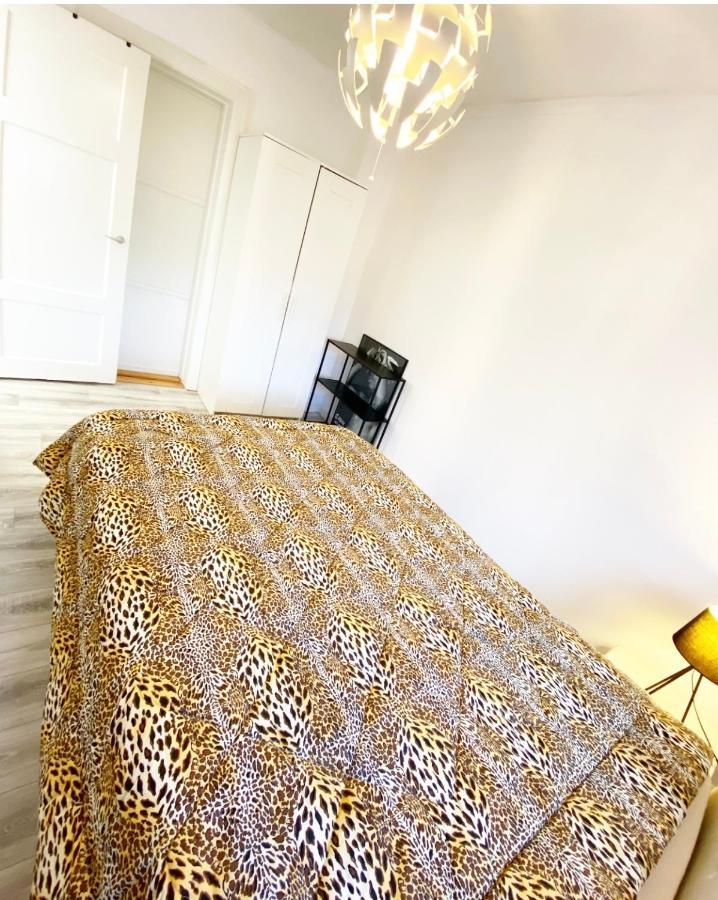 Apartment In Most Pop-Ular Area Norrebro 哥本哈根 外观 照片
