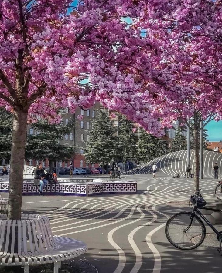Apartment In Most Pop-Ular Area Norrebro 哥本哈根 外观 照片